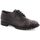 Schuhe Damen Derby-Schuhe MTNG 52680 Grau