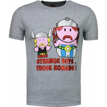 Kleidung Herren T-Shirts Local Fanatic Romans Grau