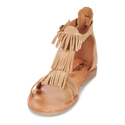 Citrouille et Compagnie GAMELA Camel