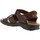 Schuhe Herren Sandalen / Sandaletten Panama Jack SANDERS CLAY C1 SANDERS CLAY C1 