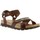 Schuhe Herren Sandalen / Sandaletten Panama Jack SAMBO CLAY C1 SAMBO CLAY C1 
