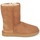Schuhe Damen Boots UGG CLASSIC SHORT II Camel