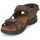 Schuhe Herren Sandalen / Sandaletten Panama Jack SALTON Braun