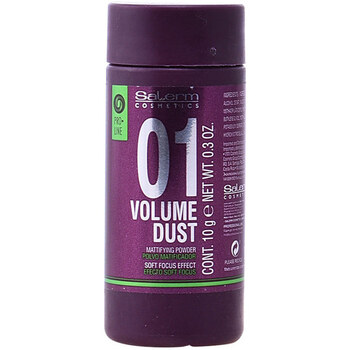 Beauty Haarstyling Salerm Volume Dust Matifying Powder 10 Gr 
