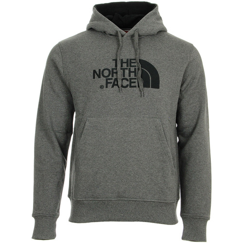 Kleidung Herren Sweatshirts The North Face Drew Peak Pullover Hoodie Grau