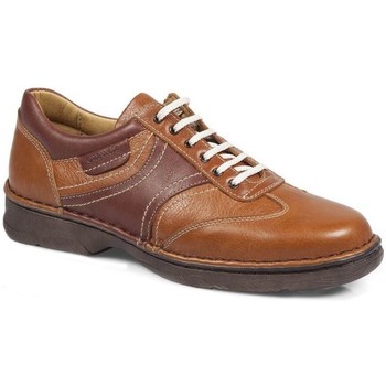 Schuhe Herren Derby-Schuhe & Richelieu Calzamedi SCHUHE  M 2135 Braun