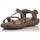 Schuhe Damen Sandalen / Sandaletten Skechers SCHUHE  40955 Braun