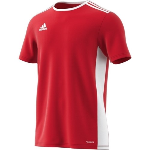 Kleidung Herren T-Shirts adidas Originals Entrada 18 Rot, Weiß