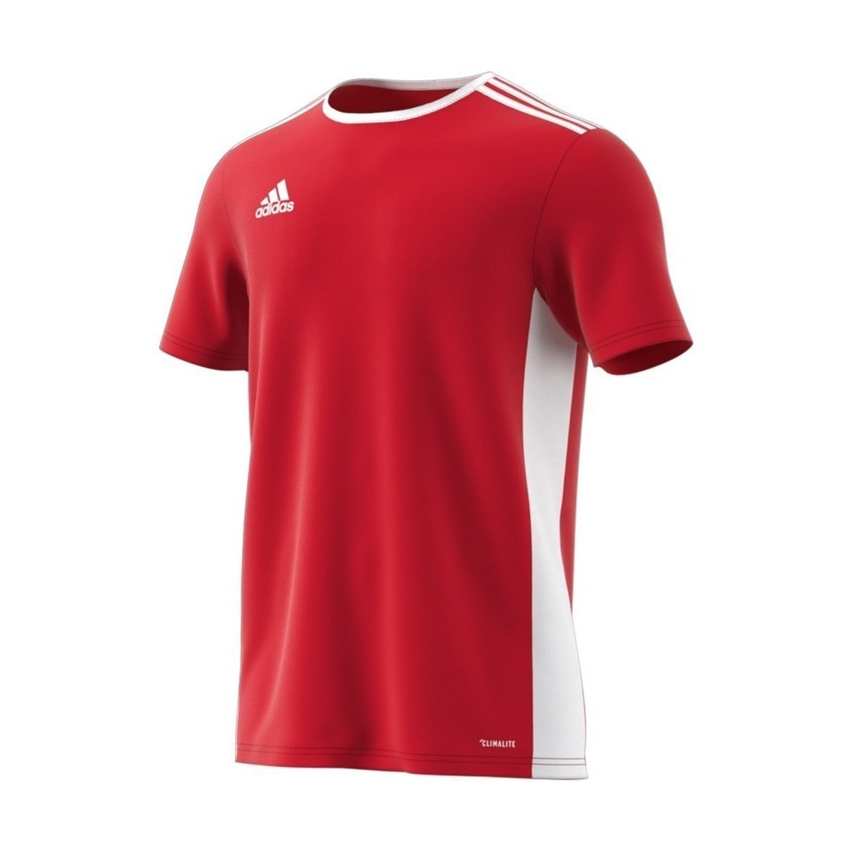 Kleidung Herren T-Shirts adidas Originals Entrada 18 Weiß, Rot