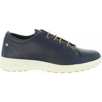 Schuhe Herren Derby-Schuhe & Richelieu Panama Jack TOMMY C2 Blau