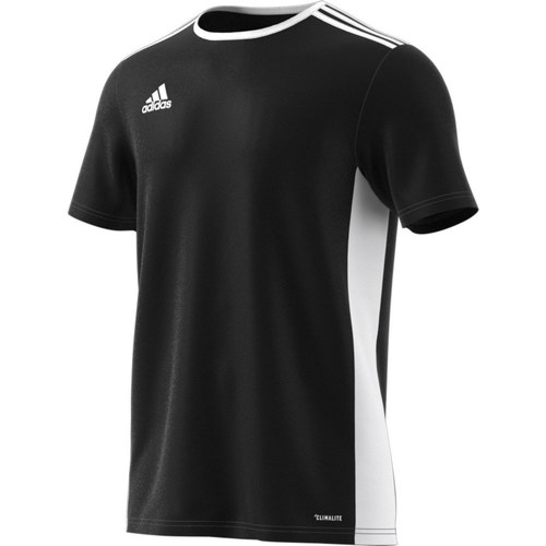 Kleidung Herren T-Shirts adidas Originals Entrada 18 Schwarz, Weiß