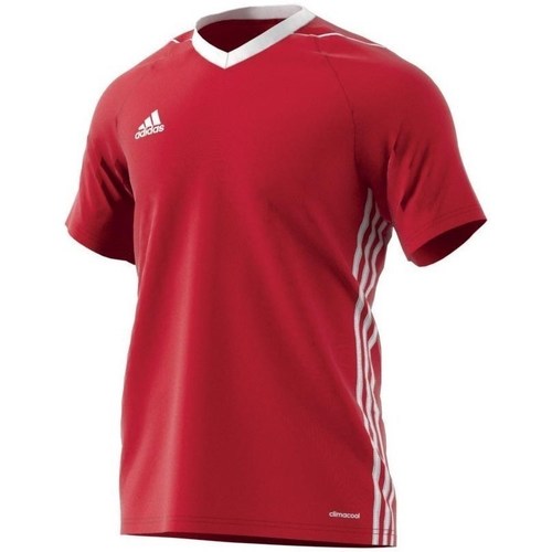 Kleidung Herren T-Shirts adidas Originals Tiro 17 Rot