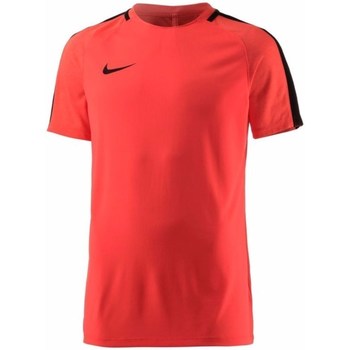 Kleidung Herren T-Shirts Nike Dry Sqd Top Rot