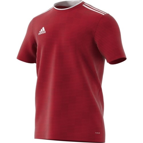 Kleidung Herren T-Shirts adidas Originals Condivo 18 Rot