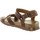Schuhe Herren Sandalen / Sandaletten Panama Jack SAMBO EXPLORER C4 SAMBO EXPLORER C4 