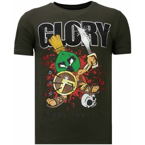 Kleidung Herren T-Shirts Local Fanatic Glory Martial Strass Grün