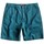 Kleidung Herren Shorts / Bermudas Quiksilver AQYWS00119-BRQ0 Blau