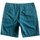 Kleidung Herren Shorts / Bermudas Quiksilver AQYWS00119-BRQ0 Blau