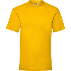 Kleidung Herren T-Shirts Fruit Of The Loom 61036 Multicolor