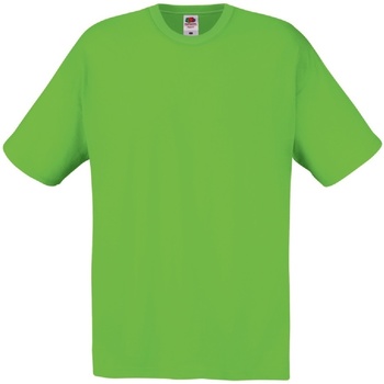 Kleidung Herren T-Shirts Fruit Of The Loom 61082 Grün