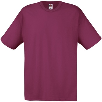 Kleidung Herren T-Shirts Fruit Of The Loom 61082 Multicolor