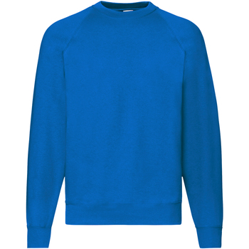 Kleidung Herren Sweatshirts Fruit Of The Loom 62216 Blau