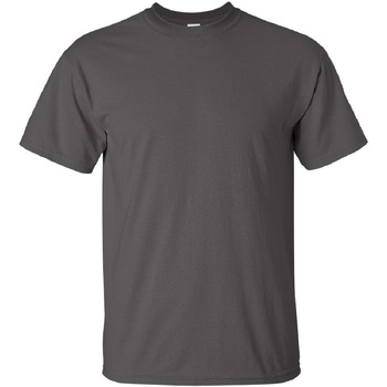 Kleidung Herren T-Shirts Gildan Ultra Grau