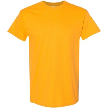 Kleidung Herren T-Shirts Gildan Heavy Multicolor