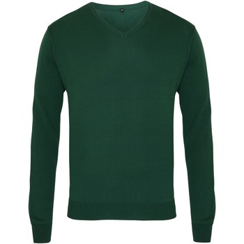Kleidung Herren Sweatshirts Premier PR694 Grün