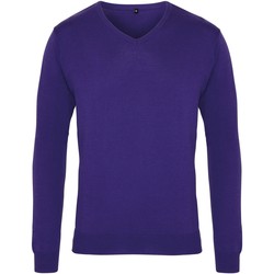 Kleidung Herren Pullover Premier PR694 Violett