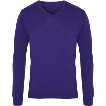 Kleidung Herren Pullover Premier PR694 Violett
