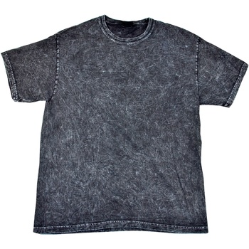 Kleidung Herren T-Shirts Colortone Mineral Schwarz