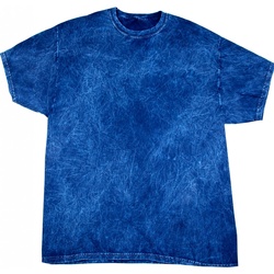 Kleidung Herren T-Shirts Colortone Mineral Blau