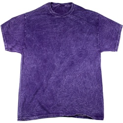 Kleidung Herren T-Shirts Colortone Mineral Violett