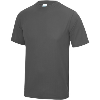 Kleidung Herren T-Shirts Awdis JC001 Grau