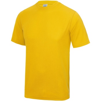 Kleidung Herren T-Shirts Awdis JC001 Goldgelb