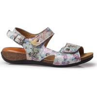 Schuhe Damen Sandalen / Sandaletten Calzamedi CEDRINA Multicolor