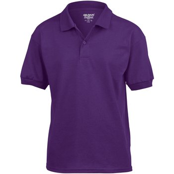 Kleidung Kinder Polohemden Gildan 8800B Violett