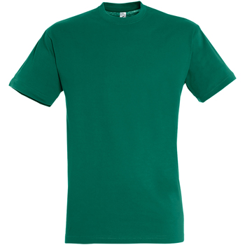 Kleidung Herren T-Shirts Sols 11380 Multicolor